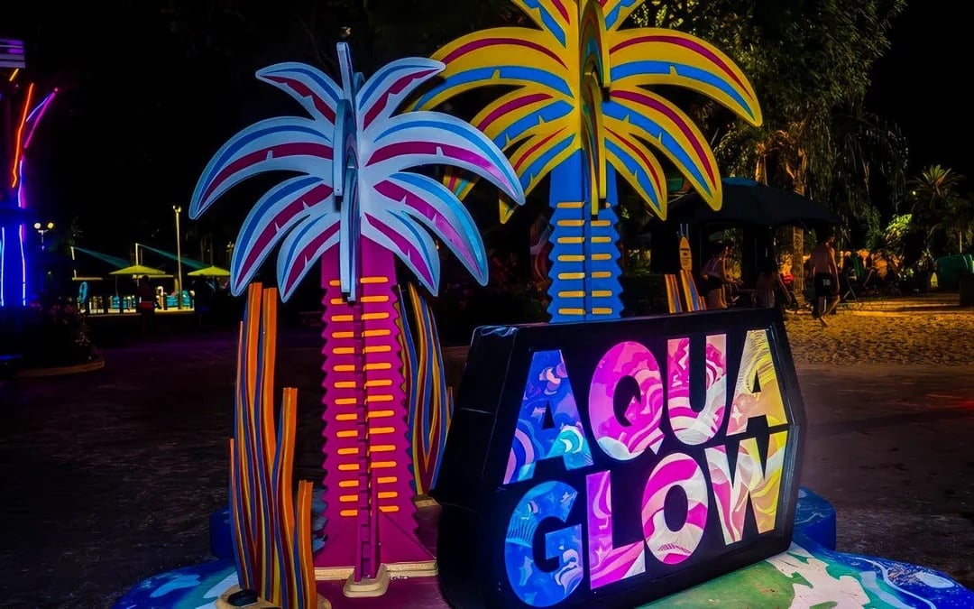 Aquatica San Antonio: AquaGlow Single-Night Tickets Image 7