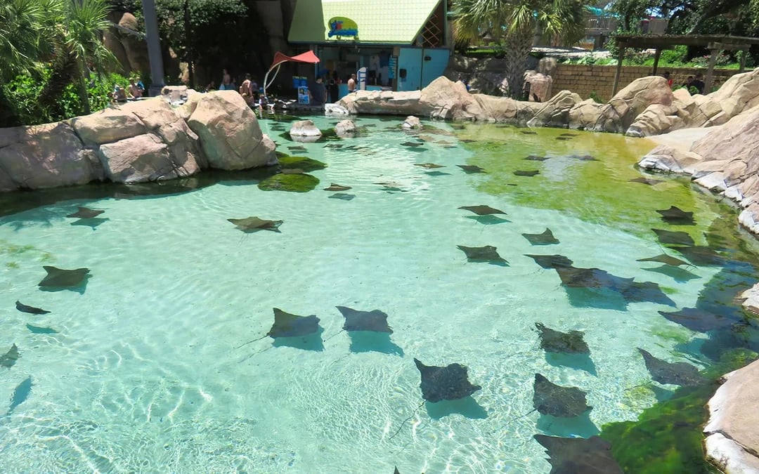 Aquatica San Antonio: Entry Tickets with All-Day Dining Add-On Image 11