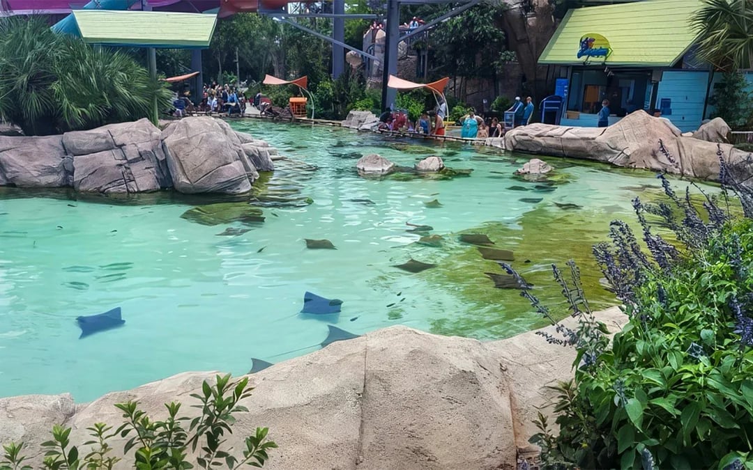 Aquatica San Antonio: Entry Tickets with All-Day Dining Add-On Image 12