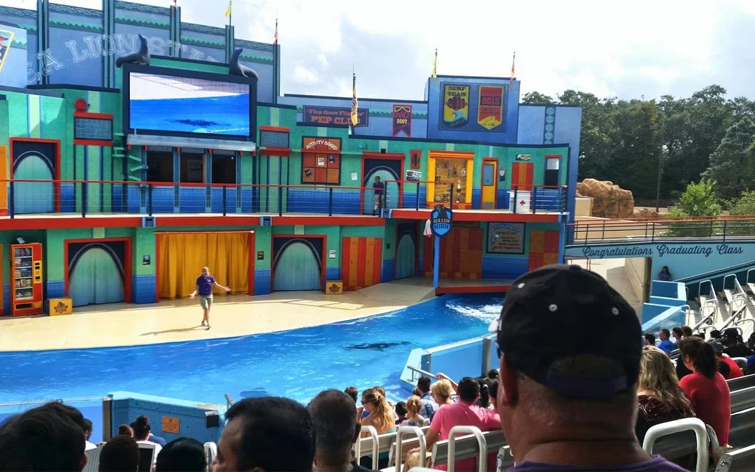 Aquatica San Antonio: Entry Tickets with All-Day Dining Add-On Image 6