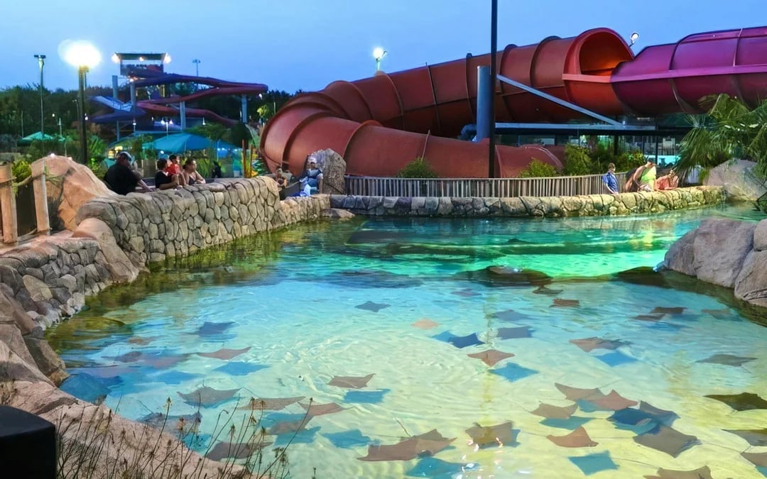 Aquatica San Antonio: Entry Tickets with All-Day Dining Add-On Image 10