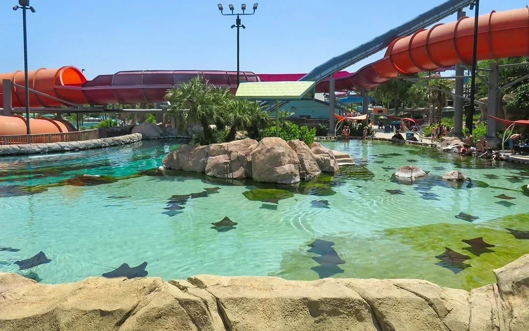 Aquatica San Antonio Two-Day Two-Park Flex Tickets Image 6