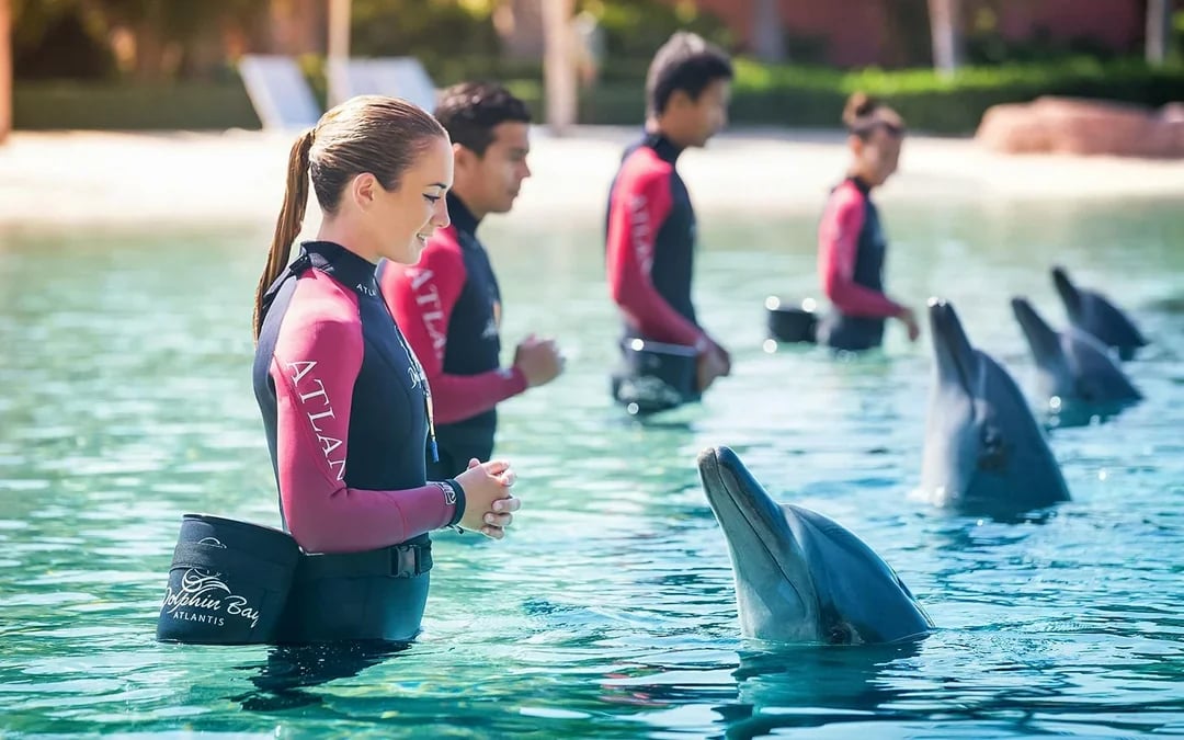 Aquaventure Waterpark Tickets with Dolphin Encounter Image 1