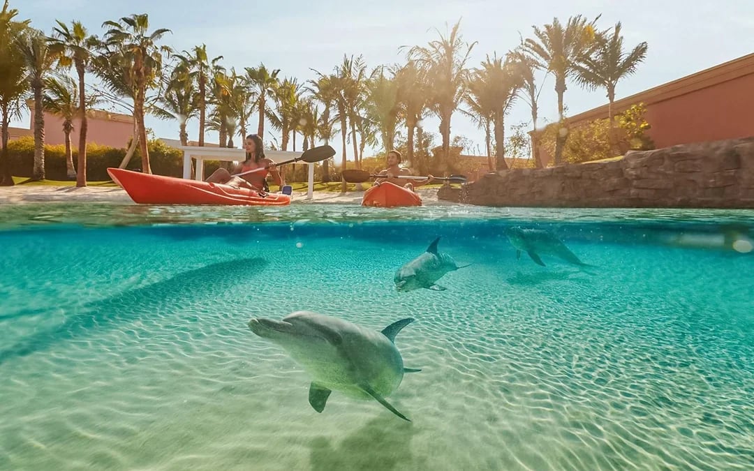 Aquaventure Waterpark Tickets with Dolphin Encounter Image 7