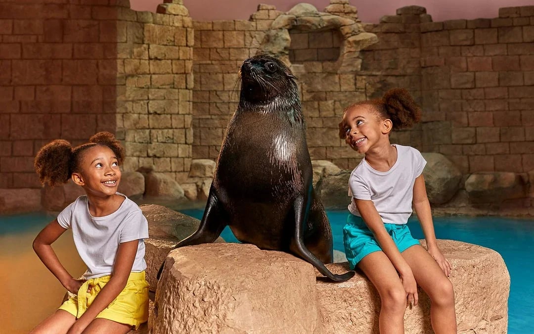 Aquaventure Waterpark Tickets with Sea Lion Encounter Image 2