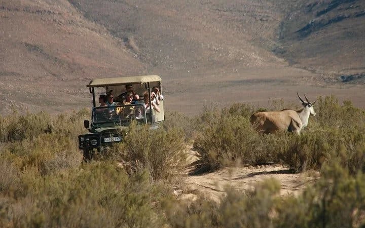 Aquila Game Reserve Safari: Shared Hotel Transfers and Group 4x4 Game Drive Image 1