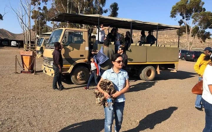 Aquila Game Reserve Safari: Shared Hotel Transfers and Group 4x4 Game Drive Image 3