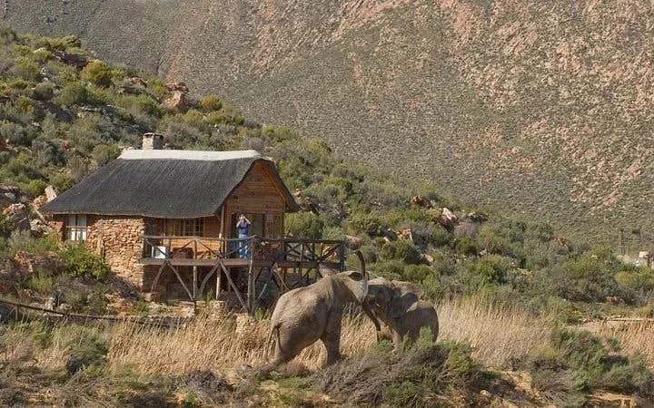 Aquila Game Reserve Safari: Shared Hotel Transfers and Group 4x4 Game Drive Image 6