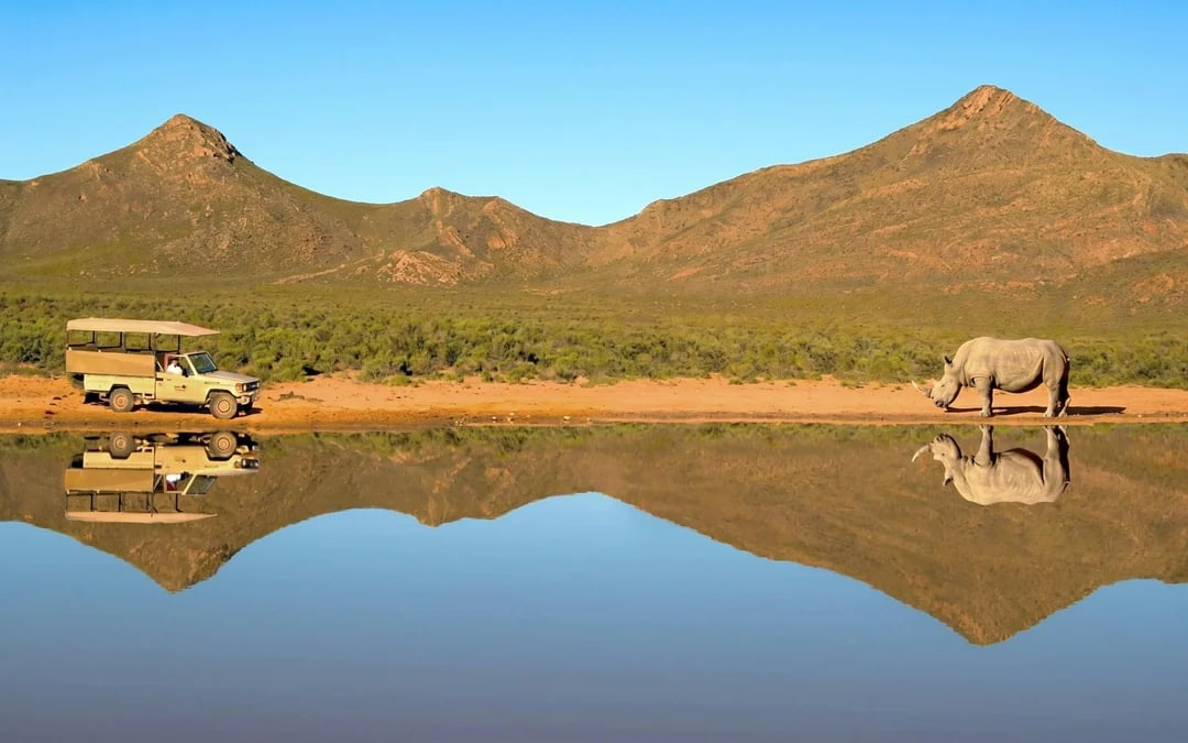 Aquila Private Game Reserve: Early Morning Safari Drive with Big 5 Viewing and Breakfast Image 4