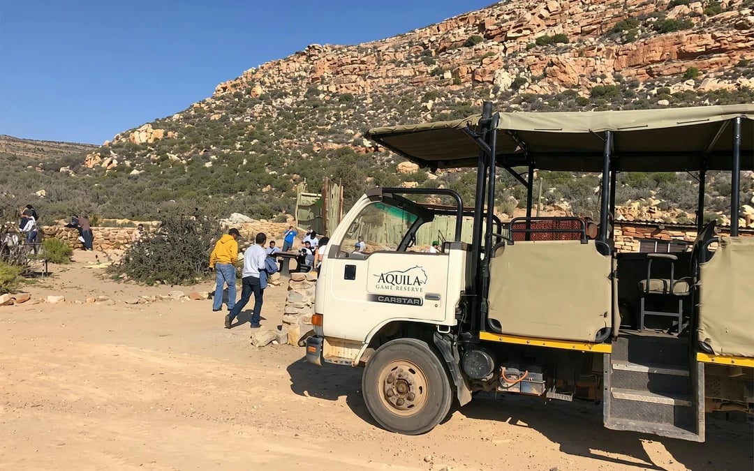 Aquila Private Game Reserve: Early Morning Safari Drive with Big 5 Viewing and Breakfast Image 7
