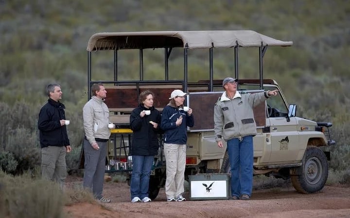 Aquila Private Game Reserve Safari and Buffet Lunch with Shared 4x4 Game Drive Image 5