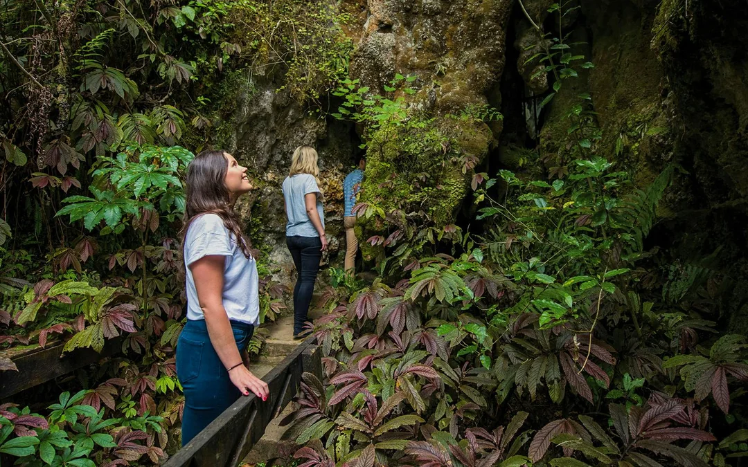 Aranui Cave Guided Tour Image 2