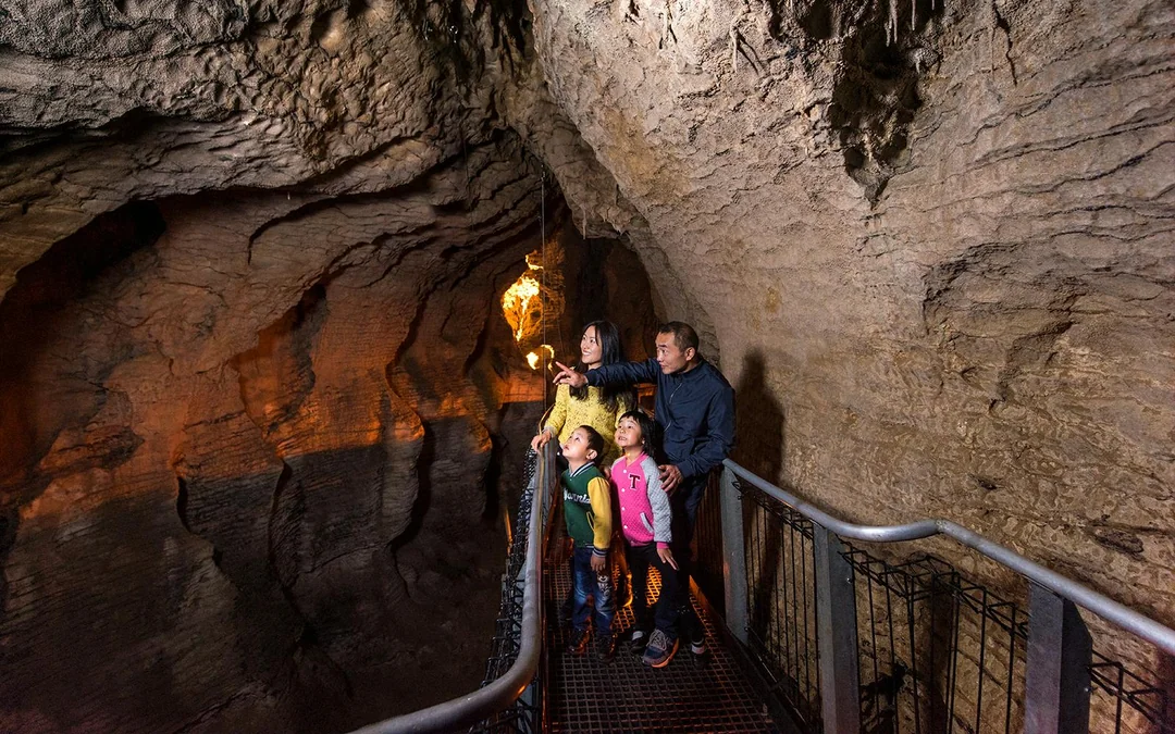 Aranui Cave Guided Tour Image 5