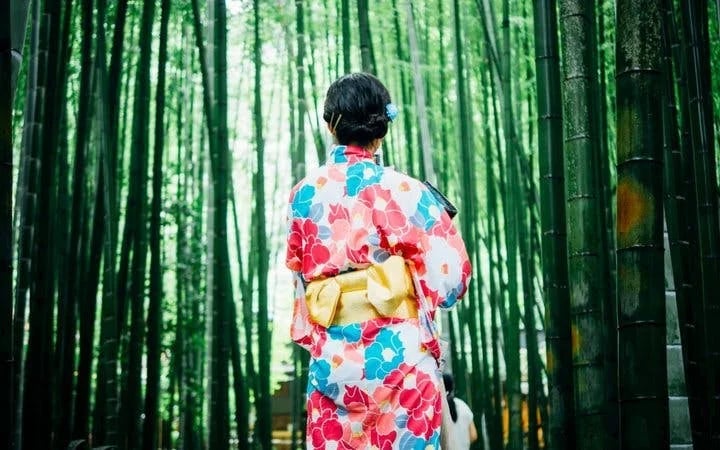 Arashiyama Bamboo Forest, Temple, and Bridge Private Early Morning Tour in Kyoto Image 3
