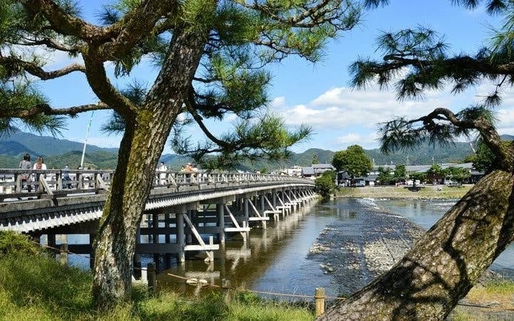 Arashiyama Bamboo Forest, Temple, and Bridge Private Early Morning Tour in Kyoto Image 4