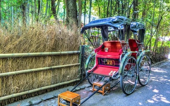 Arashiyama Bamboo Forest, Temple, and Bridge Private Early Morning Tour in Kyoto Image 5