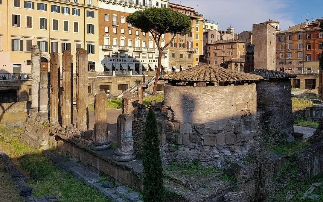 Archaeological Area Largo Argentina Tickets Image 4