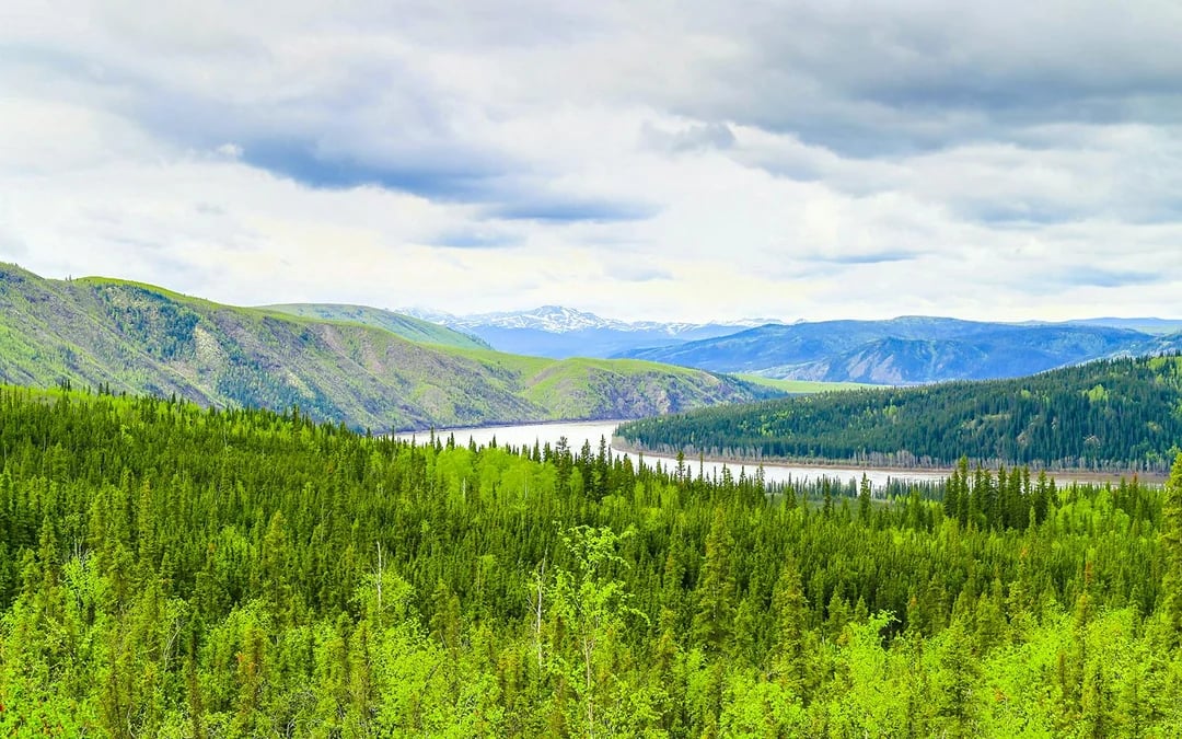 Arctic Circle Tour Image 12
