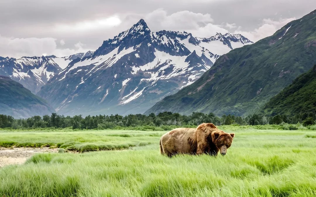 Arctic Circle Tour Image 4
