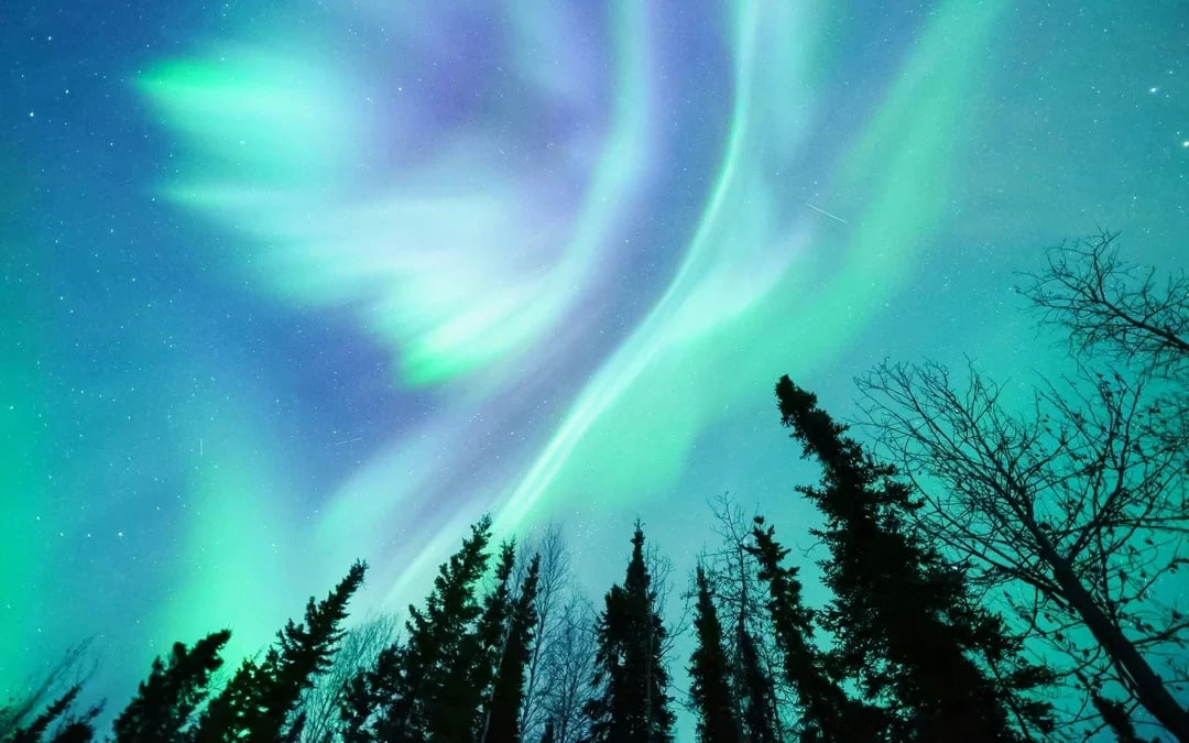 Arctic Circle Tour Image 7