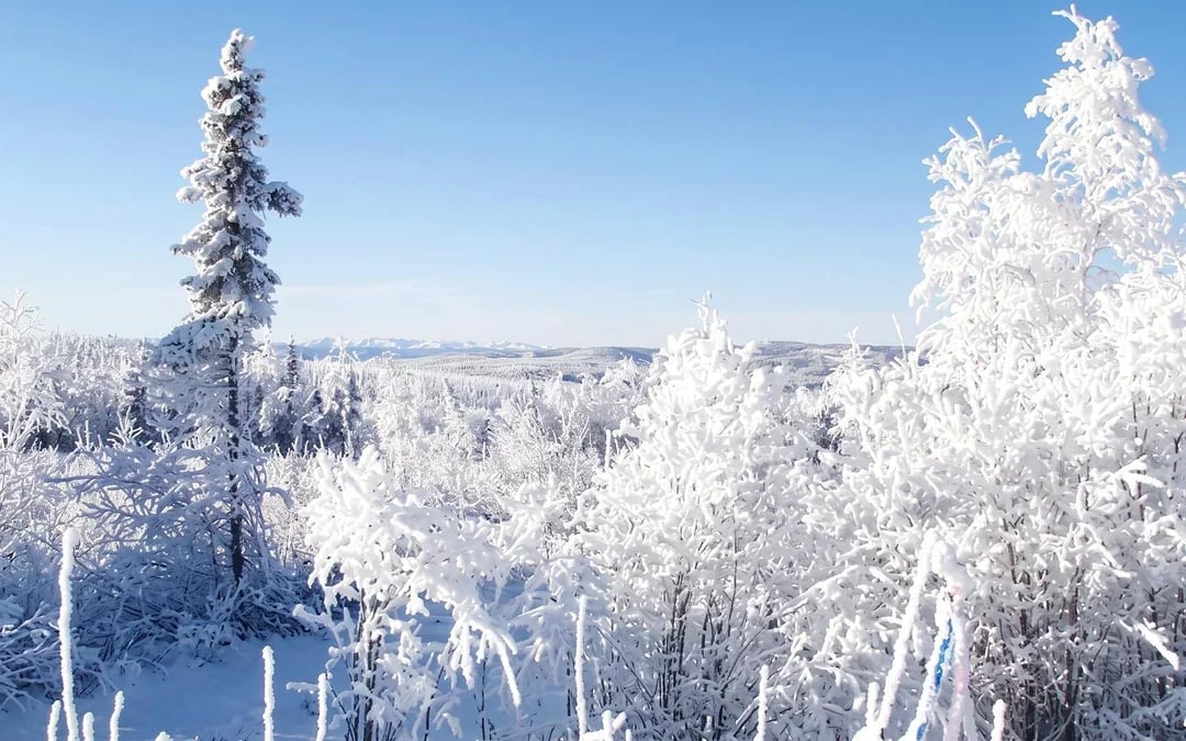 Arctic Circle Tour Image 9