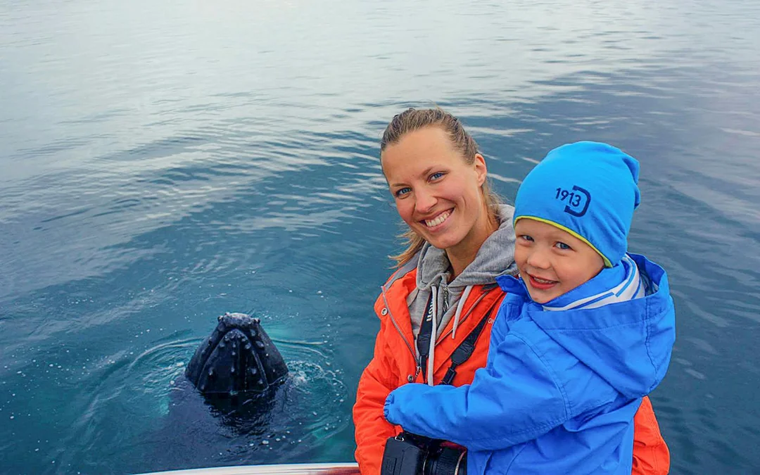 Árskógssandur: Whale Watching Boat Tour Image 8