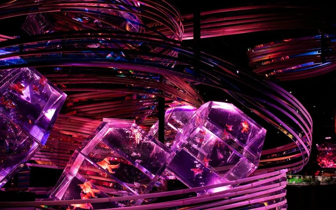 Art Aquarium Museum GINZA Skip-the-Line Pass: Couple & Family Deal (Flash deal for min. 2 guests) Image 5
