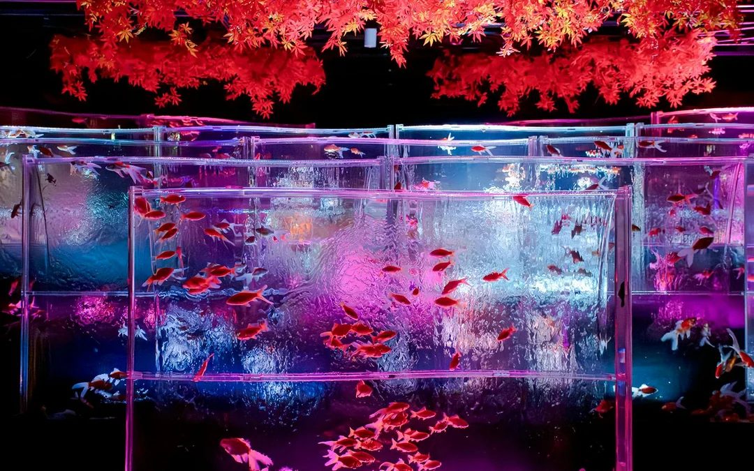 Art Aquarium Museum Ginza Tickets Image 2