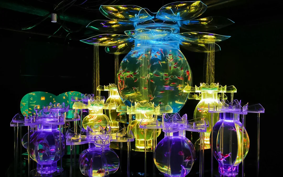 Art Aquarium Museum Ginza Tickets Image 12