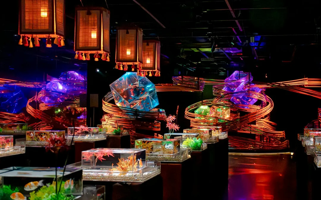 Art Aquarium Museum Ginza Tickets Image 3