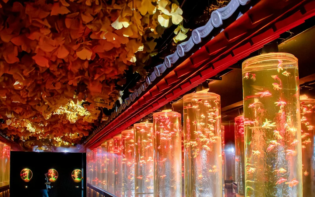 Art Aquarium Museum Ginza Tickets  Image 4