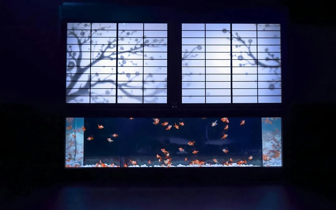 Art Aquarium Museum Ginza Tickets  Image 10