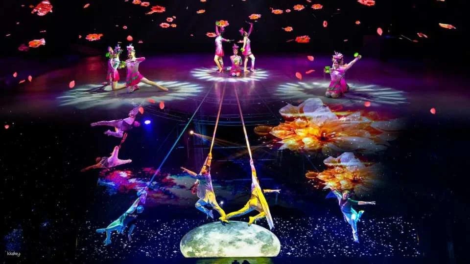 Jeju Circus World: Art Circus - Admission Ticket | South Korea