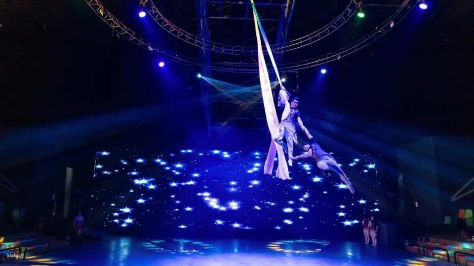 Jeju Circus World: Art Circus - Admission Ticket | South Korea