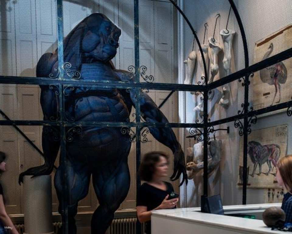 Entrance ticket to the Art Zoo Museum in Amsterdam with audio tour