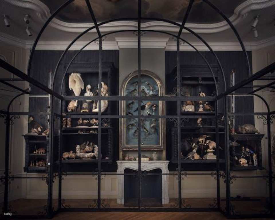 Entrance ticket to the Art Zoo Museum in Amsterdam with audio tour
