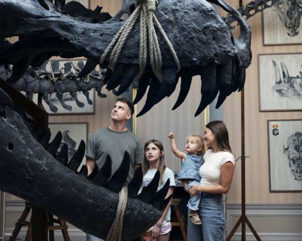 Entrance ticket to the Art Zoo Museum in Amsterdam with audio tour