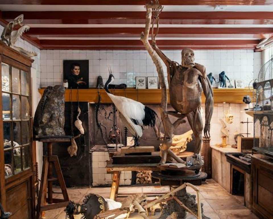 Entrance ticket to the Art Zoo Museum in Amsterdam with audio tour