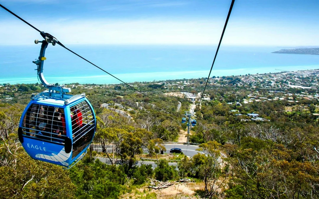 Arthurs Seat Eagle Gondola Round-Trip Family Pass Image 3