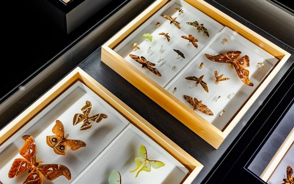 ArtScience Museum Multi-Exhibition Tickets Image 10