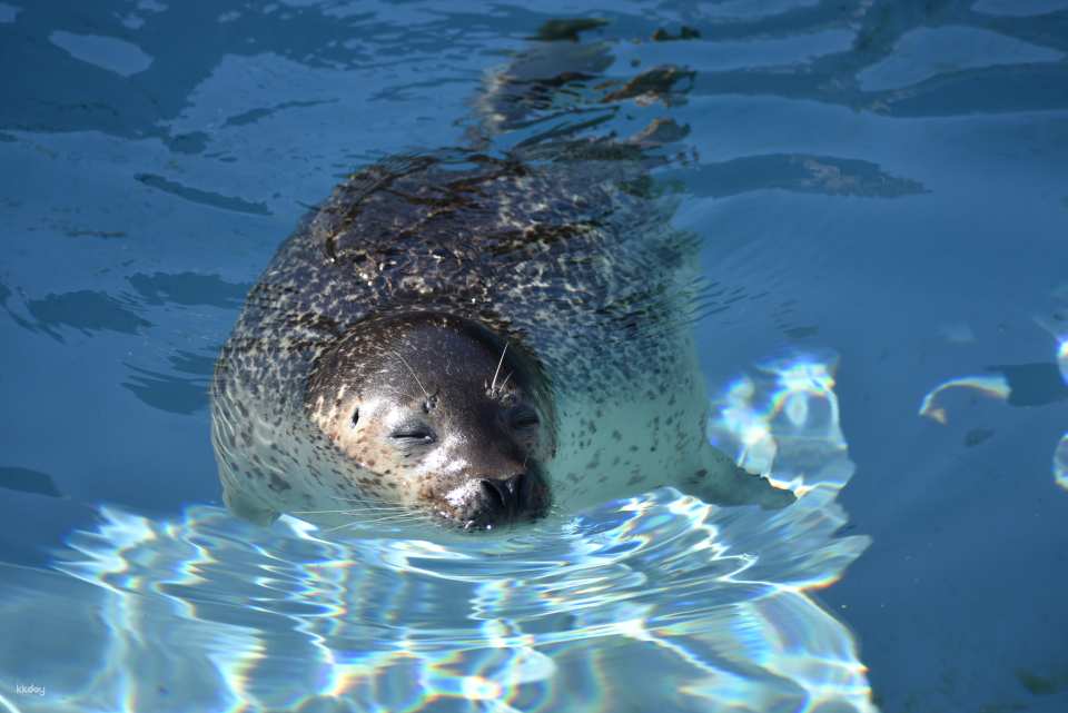 Asahiyama Zoo Tickets | Hokkaido