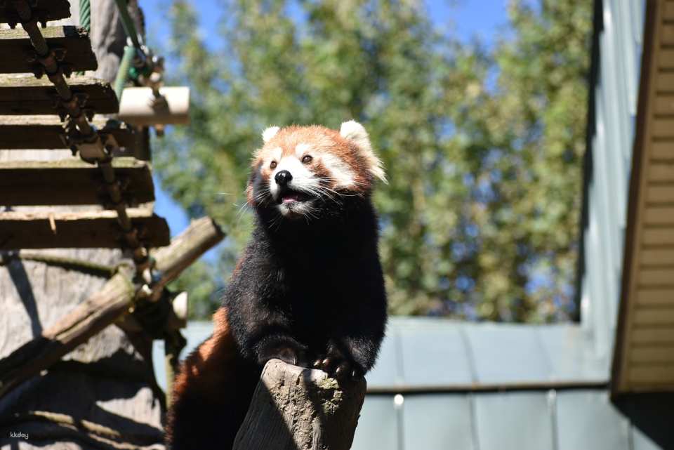 Asahiyama Zoo Tickets | Hokkaido