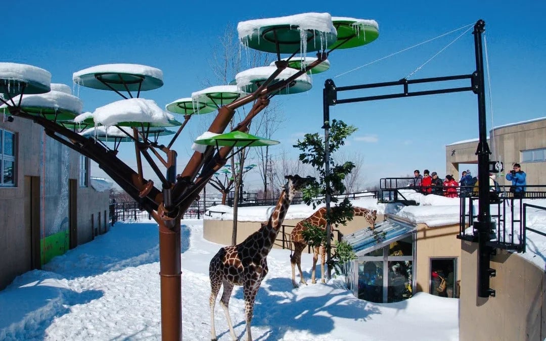 Asahiyama Zoo Tickets Image 10