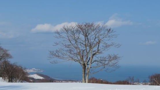 Asarigawaonsen Ski Resort