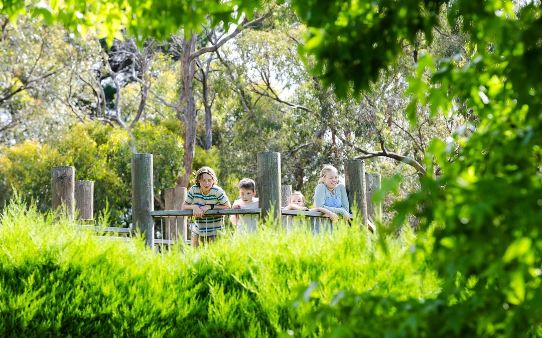 Ashcombe Maze & Lavender Gardens Entry Tickets Image 1