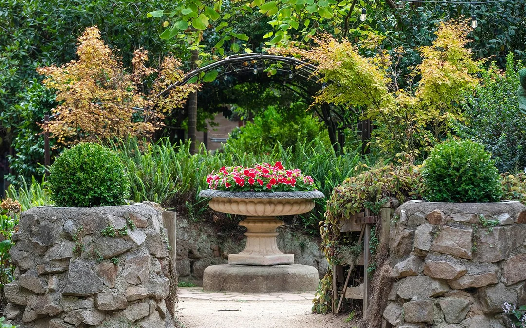 Ashcombe Maze & Lavender Gardens Entry Tickets Image 3