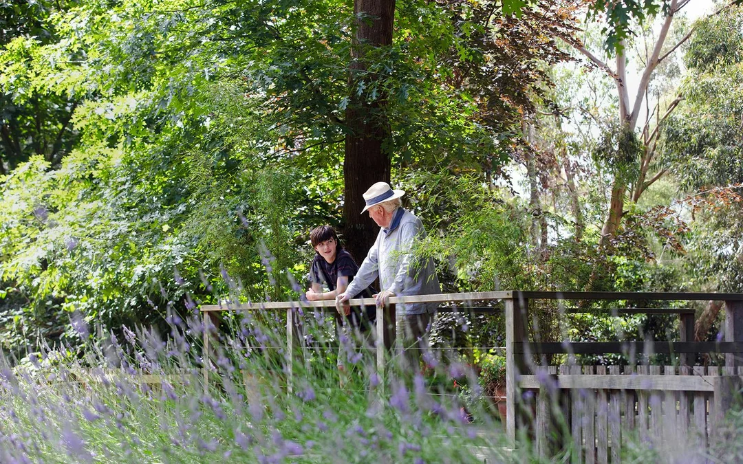 Ashcombe Maze & Lavender Gardens Entry Tickets Image 4