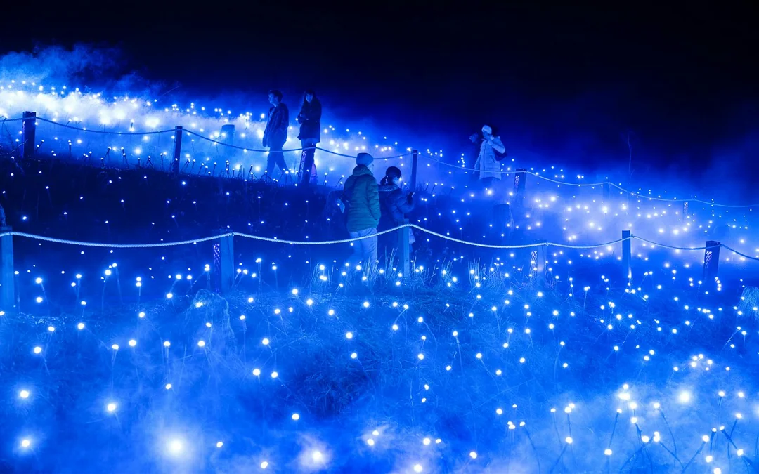 Astra Lumina at Currumbin Wildlife Sanctuary
Image 2
