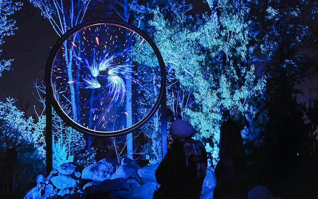Astra Lumina at Currumbin Wildlife Sanctuary
Image 3
