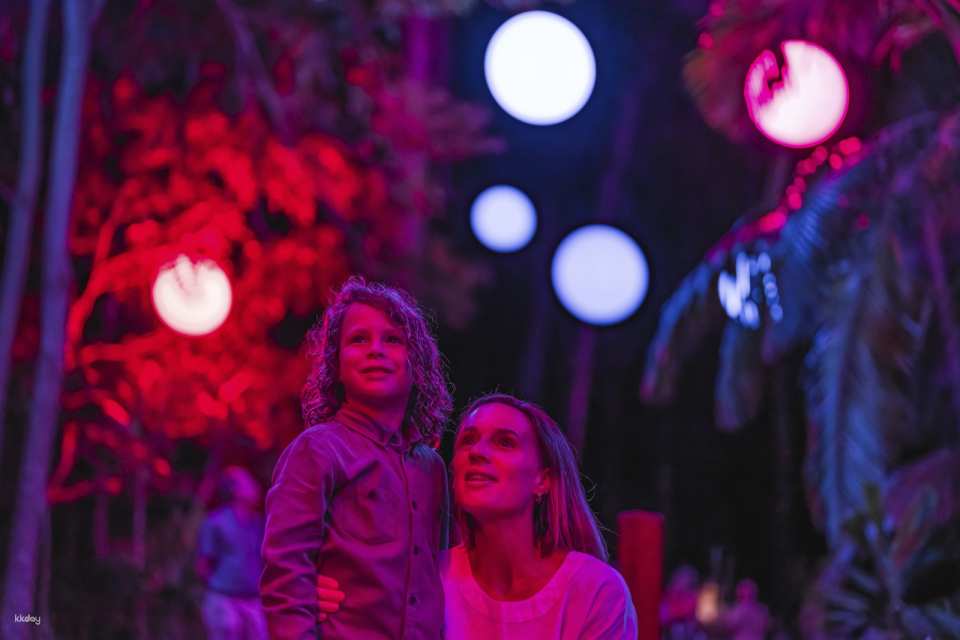 Astra Lumina General Admission Ticket | Gold Coast